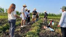 Mahasiswa Belanda & Polandia saat belajar pertanian modern ala petani muda Indonesia