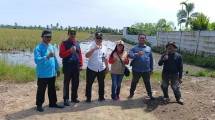 Puncak kegiatan Gerakan Tanam Serempak Brigade Pangan yang berlangsung di Provinsi Sumatera Selatan