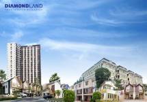 Diamond Land