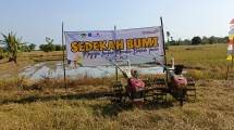 Tertawa, Terpeleset, Lalu Mandi Lumpur: Serunya Tradisi Sedekah Bumi di Tengah Sawah Tanjung Lesung