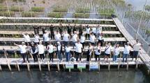 Cermati Fintech Group Tanam Bibit Mangrove di Kawasan Hutan Lindung PIK