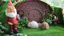 Rabbit Forest di Summarecon Mall Bekasi