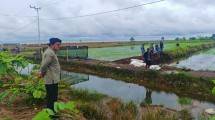 Percepat Swasembada Pangan, Kementan Dorong Optimalisasi Lahan dan Regenerasi Petani di Dadahup