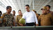 Menteri Pertanian (Mentan) Andi Amran Sulaiman