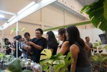 Mengusung tema &ldquo;The Botanical Futures&rdquo;, FLOII Expo 2025 menjadi momentum penting bagi pelaku industri hortikultura nasional