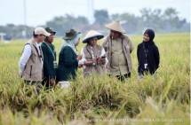 Menteri Komunikasi dan Digital Meutya Hafid dalam kegiatan Panen Tani Digital di Kabupaten Sragen, Rabu (5/11/2025) mengatakan program Tani Digital merupakan kolaborasi antara Kemkomdigi, Kementerian Pertanian, Pemerintah Kabupaten Sragen, dan mitra penyedia teknologi dalam upaya memperkuat ketahanan pangan nasional berbasis data. (Foto: Humas Kemkomdigi)