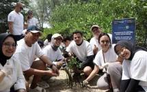 PT Indointernet Tbk dan Edge DC Tanam 4.500 Mangrove dan Restorasi 100 Terumbu Karang di Pulau Tidung Kecil