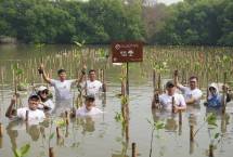 CSR MHK Hijau sebagai wujud partisipasi Perseroan dalam menjaga ekosistem pesisir dan memperkuat komitmen terhadap pelestarian lingkungan. 