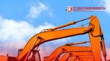 PT Sinar Terang Mandiri Tbk (MINE)