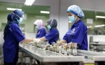 Kinerja PT Victoria Care Indonesia Tbk (VICI) pada 2025 diperkirakan mengalami stagnasi dibandingkan tahun sebelumnya.