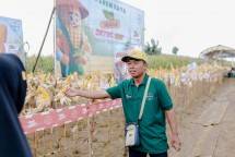 Bayer Indonesia dukung petani jagung Jawa Tengah.