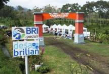 Desa BRILian