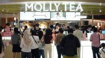Molly Tea