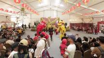 Panda Fest 2026