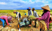 DPR Desak Kementan Jujur Soal Data Pangan