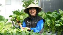 Urban farming dikelola Perempuan