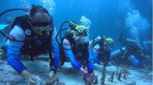 Pulihkan Ekosistem Wisata Laut di Aceh, Pekerja BRI Lakukan Transplantasi Terumbu Karang di Perairan Kepulauan Sabang