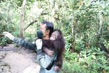  Palma Serasih Pecah Rekor! Pendapatan Rp2,55 T & Laba Naik 26%, Dari Efisiensi Kebun Hingga Selamatkan Habitat Orangutan