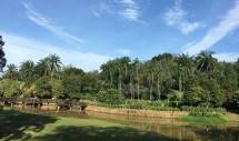 KIJA Jababeka Botanical 