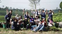 TJSL IDSurvey 