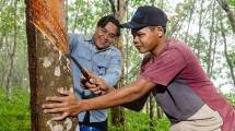 Petani Binaan PT Reswara Minergi Hartama 