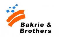 Bakrie & Brothers (BNBR)