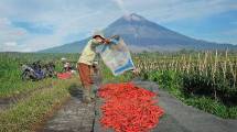 BRI Salurkan KUR Rp65,95 Triliun, Jangkau 558 Ribu Petani dan 23 Ribu Nelayan per April 2026 