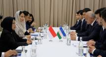 Pertemuan bilateral tindak lanjut pembentukan Joint Working Group (JWG) tentang Kerja Sama Perdagangan dan Investasi yang berlangsung di Tashkent, Uzbekistan, Selasa (16/6). 